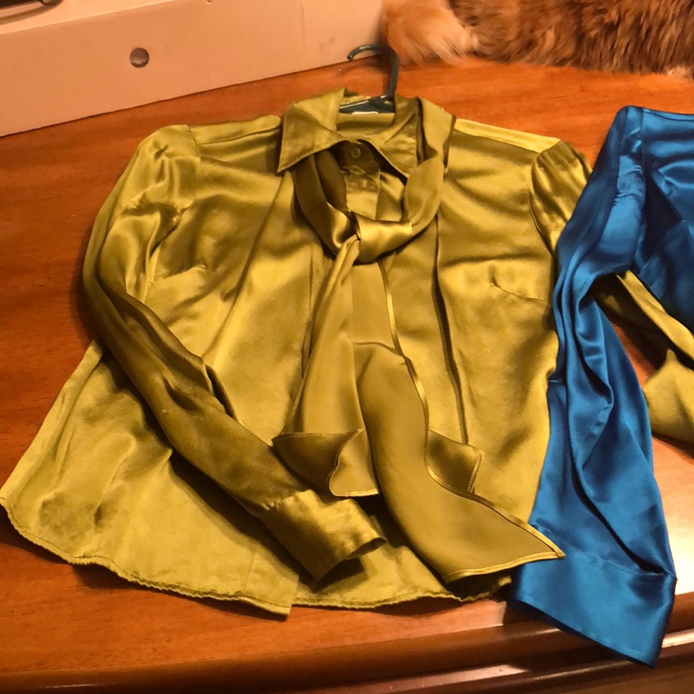 Silk button long sleeve blouse w unattached tie/head scarf